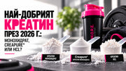 Най-добрият креатин през 2026 г.: монохидрат, Creapure или HCL?