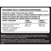 Fitholic Professional Tribulus 4000 Mega Dose – Трибулус Терестрис - GetMorePower.bg